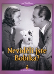 Neviděli jste Bobíka? (DVD)
