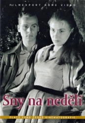 Sny na neděli (DVD)