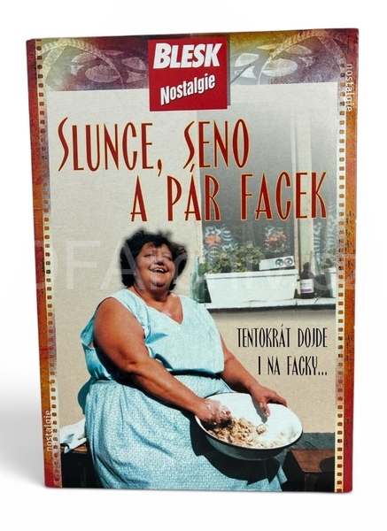 Slunce, seno a pár facek (DVD)